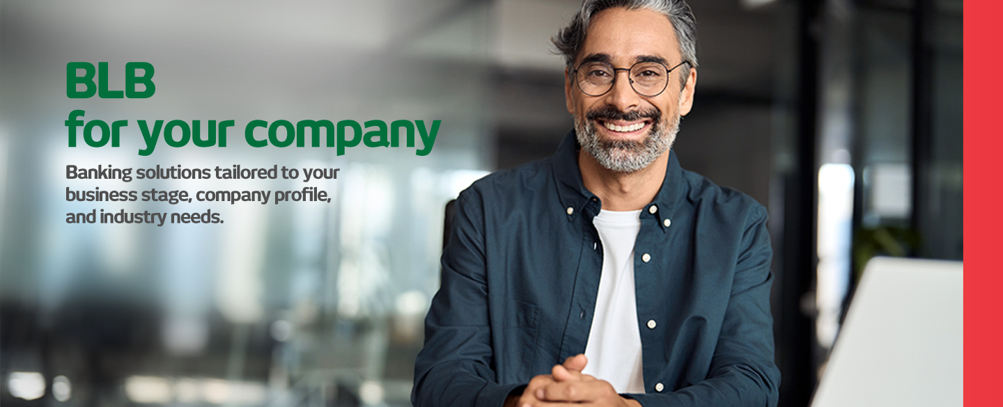 BLB para sua empresa – EN